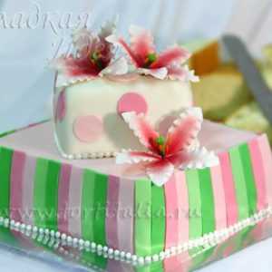 Торт из мастики 002705