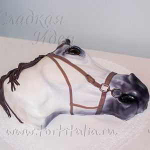 Торт на заказ Лошадь